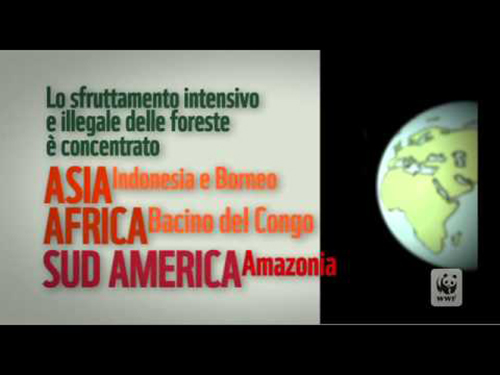 Wwf – Storia di una foresta. Video per le scuole. Script/testi Raethia Corsini